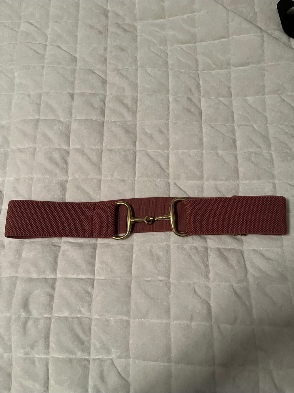 Dover saddlery elastic belt